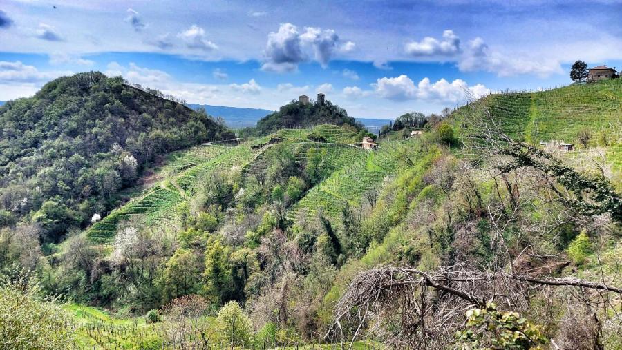 Agriturismo Al Credazzo Farra di Soligo Ngoại thất bức ảnh