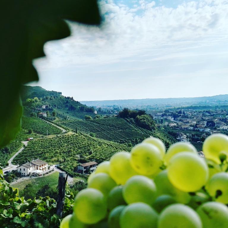 Agriturismo Al Credazzo Farra di Soligo Ngoại thất bức ảnh